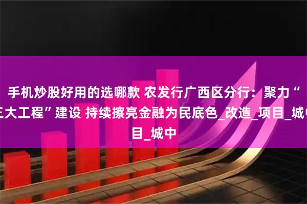 手机炒股好用的选哪款 农发行广西区分行：聚力“三大工程”建设 持续擦亮金融为民底色_改造_项目_城中