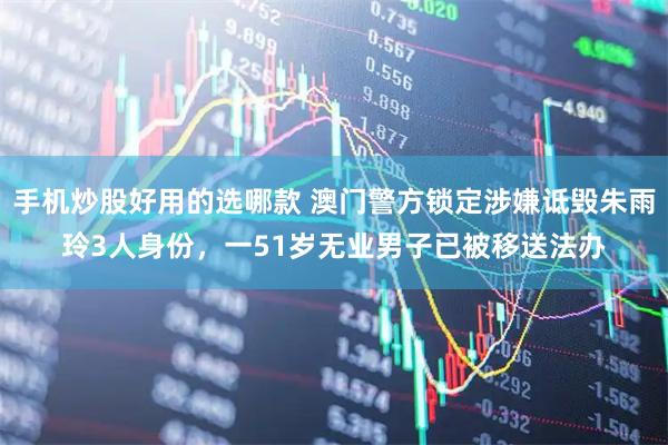 手机炒股好用的选哪款 澳门警方锁定涉嫌诋毁朱雨玲3人身份，一51岁无业男子已被移送法办