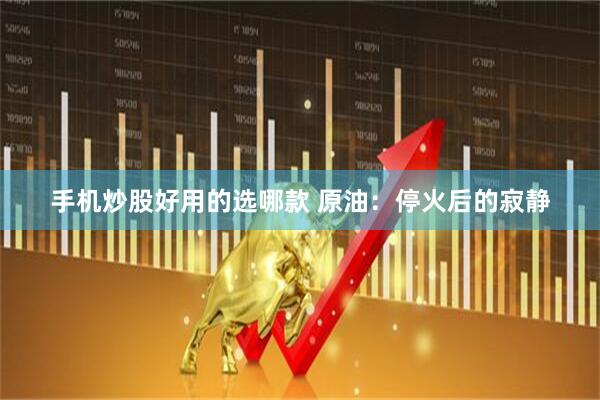 手机炒股好用的选哪款 原油：停火后的寂静